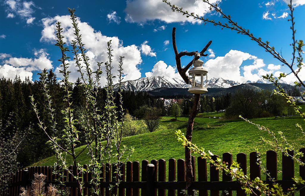 Zwijaczowka Bed & Breakfast Zakopane Dış mekan fotoğraf